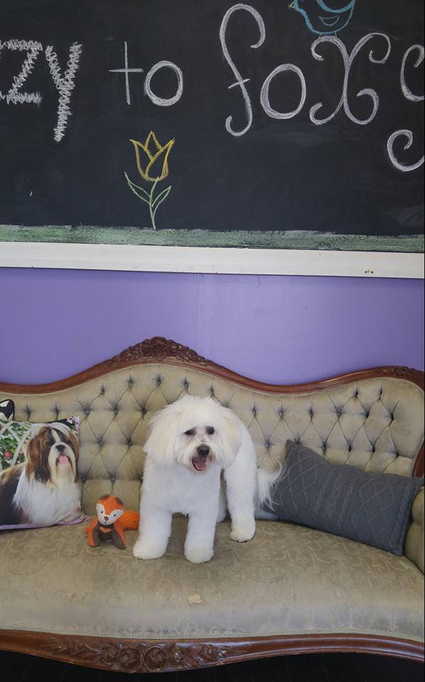The Foxy Hound | 2490 Main St, London, ON N6P 1P9, Canada | Phone: (519) 203-3303