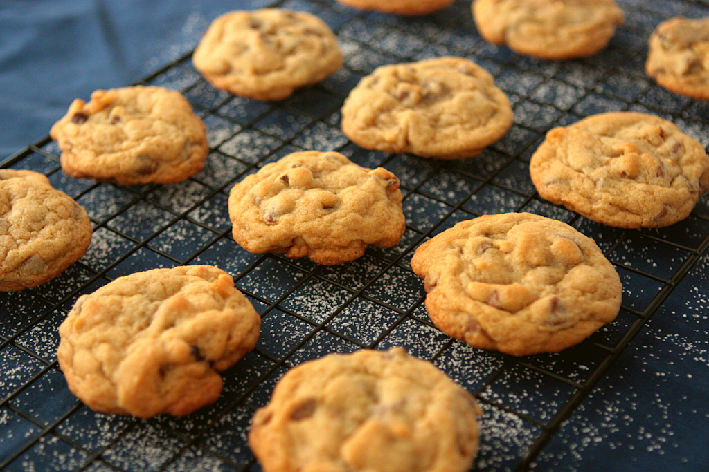 Little Bees Bakeshop | 124 Covepark Pl NE, Calgary, AB T3K 6A1, Canada | Phone: (587) 436-9751