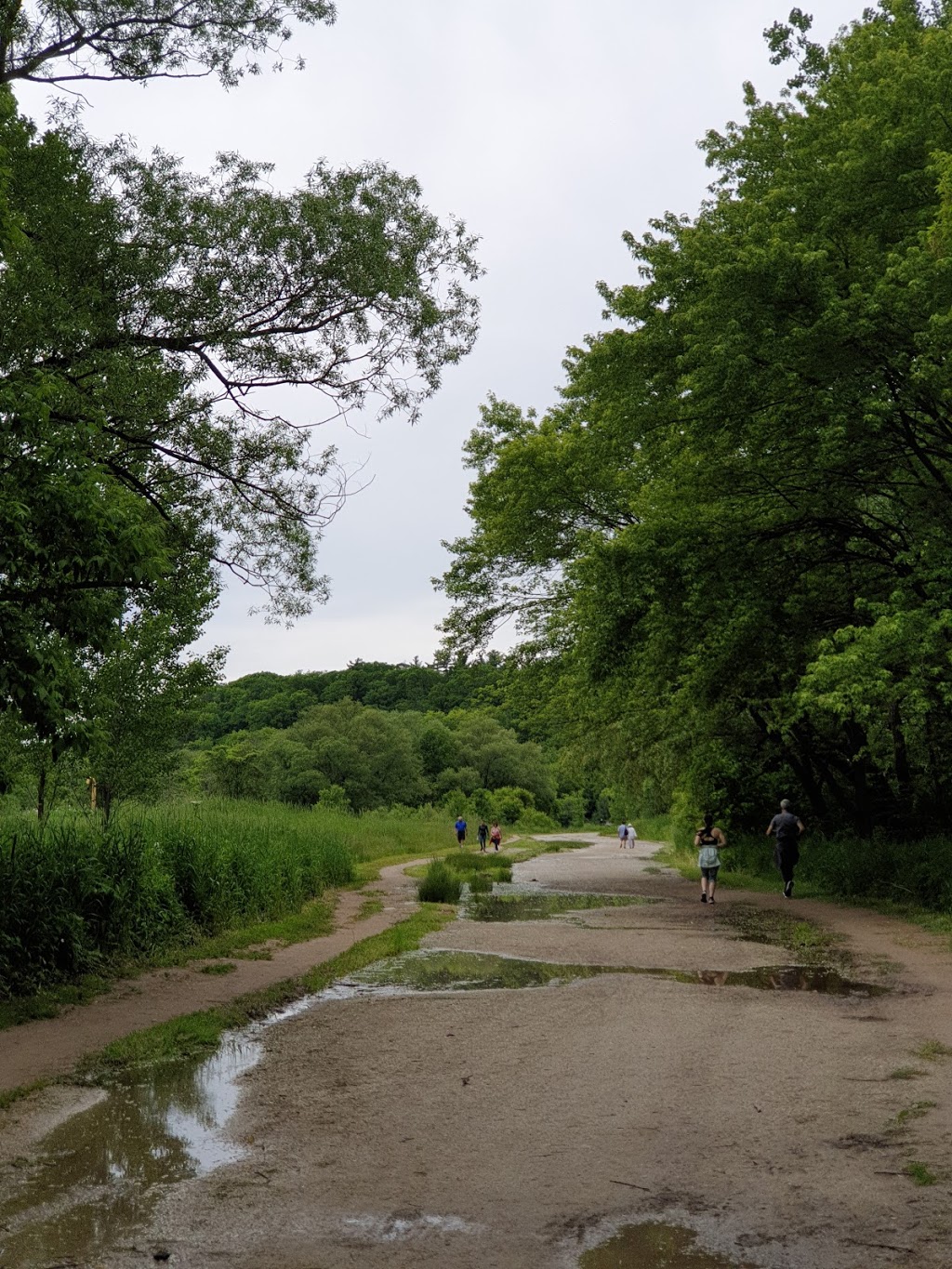 Erindale Park | Unnamed Road, Mississauga, ON L5C 2S7, Canada