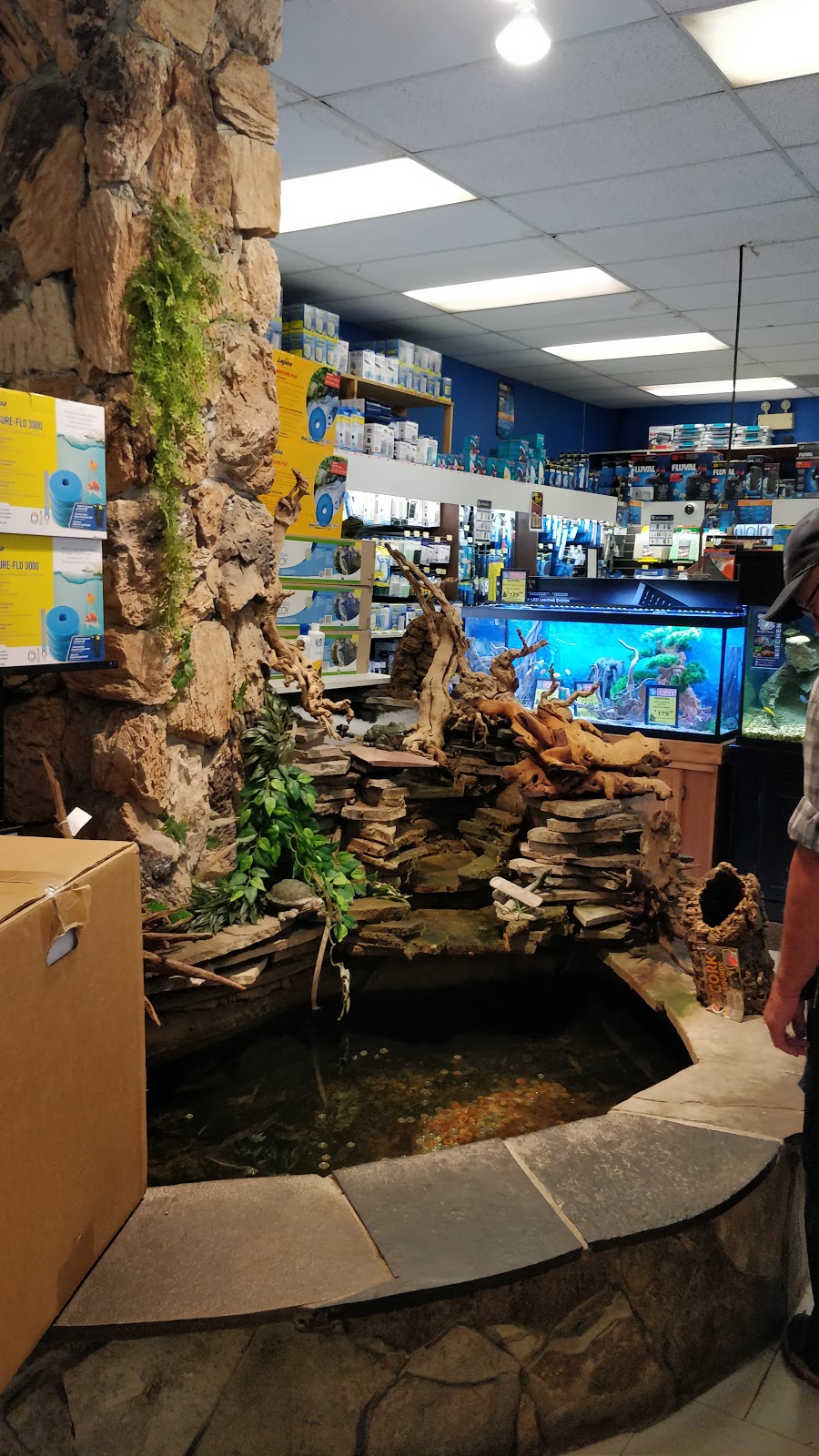 Big Als Kitchener | 509 Wilson Ave, Kitchener, ON N2C 2M4, Canada | Phone: (519) 894-1810