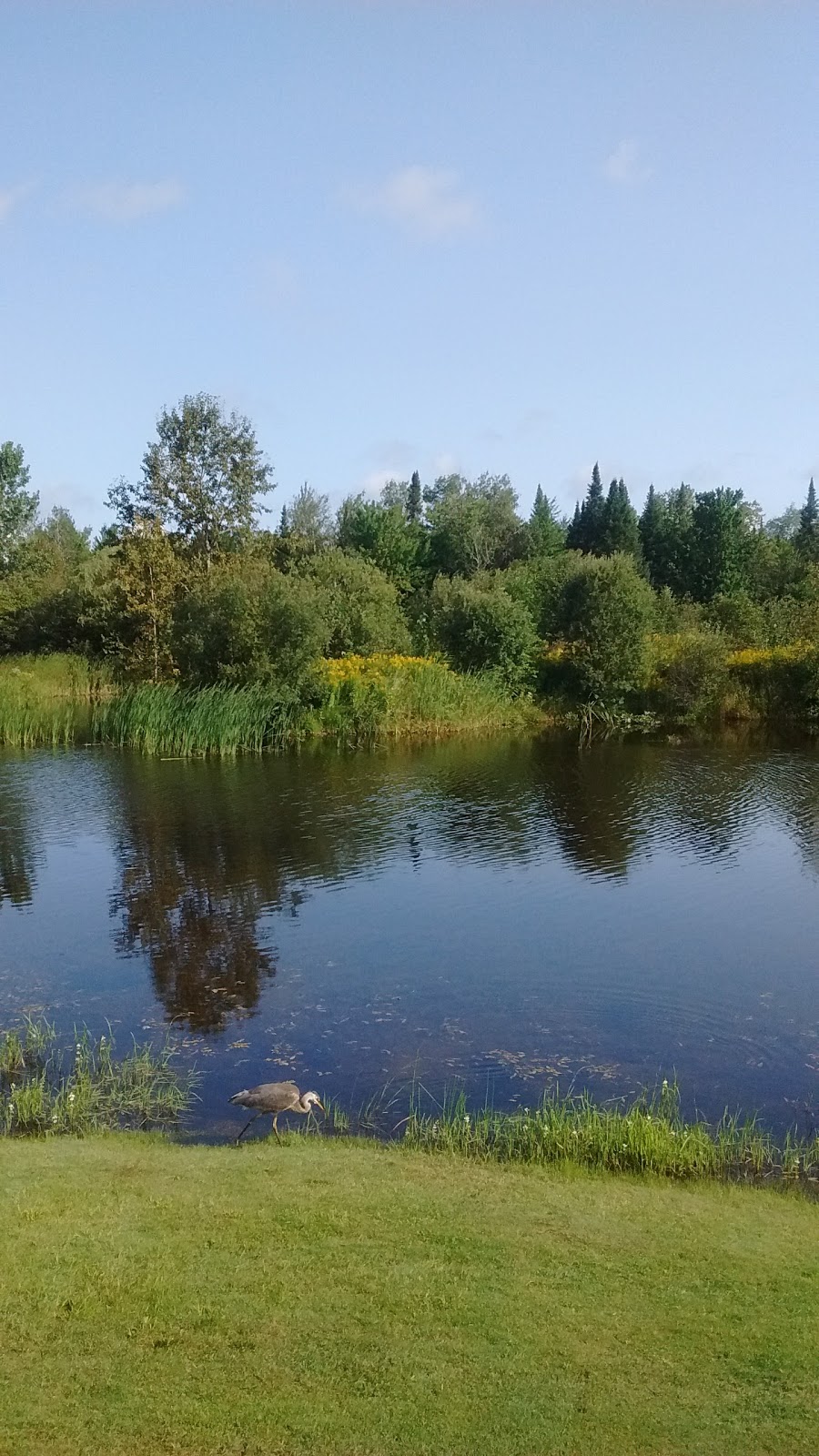 Camping Vallée Bleue | 50 Rue Haman, West Brome, QC J0E 2P0, Canada | Phone: (450) 263-4804