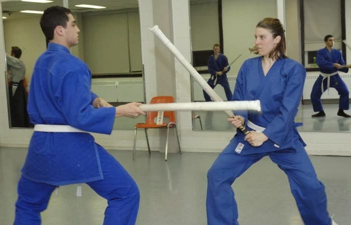 Jinenkan Ottawa Dojo | 1480 Heron Rd, Ottawa, ON K1V 6A5, Canada | Phone: (613) 263-0441