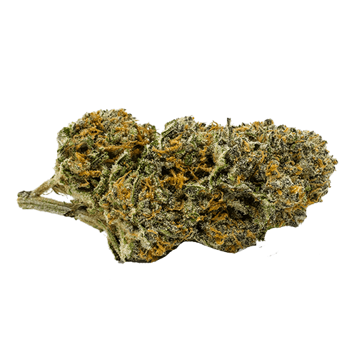 Cambridge Weed Dispensary | 101 Holiday Inn Dr, Cambridge, ON N3C 1Z3, Canada | Phone: (519) 220-0201