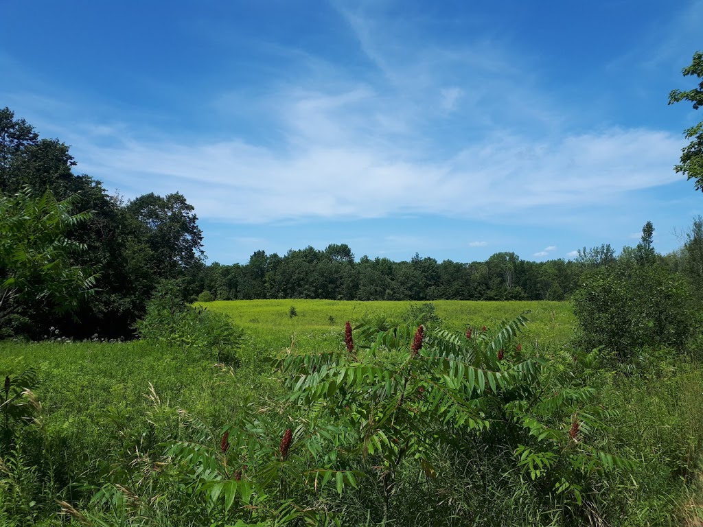 VERTerrebonne | 3060 Chemin Saint-Charles, Terrebonne, QC J6V 1A1, Canada | Phone: (450) 471-8265 ext. 1679