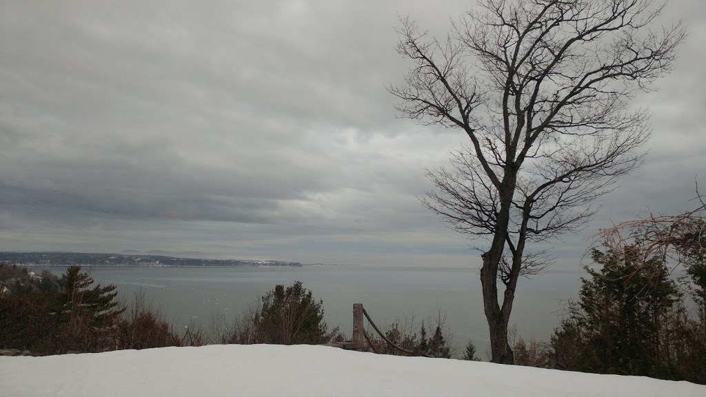 Gîte Au Perchoir | 443 Chemin du Cap aux Rets, Baie-Saint-Paul, QC G3Z 1C1, Canada | Phone: (418) 435-6955