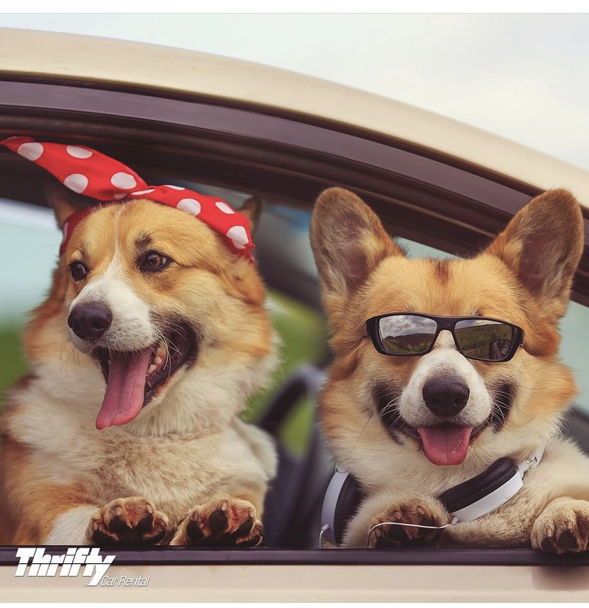 Thrifty Car Rental YQB | 507 Rue Principale, Québec, QC G2G 0J2, Canada | Phone: (418) 871-1573