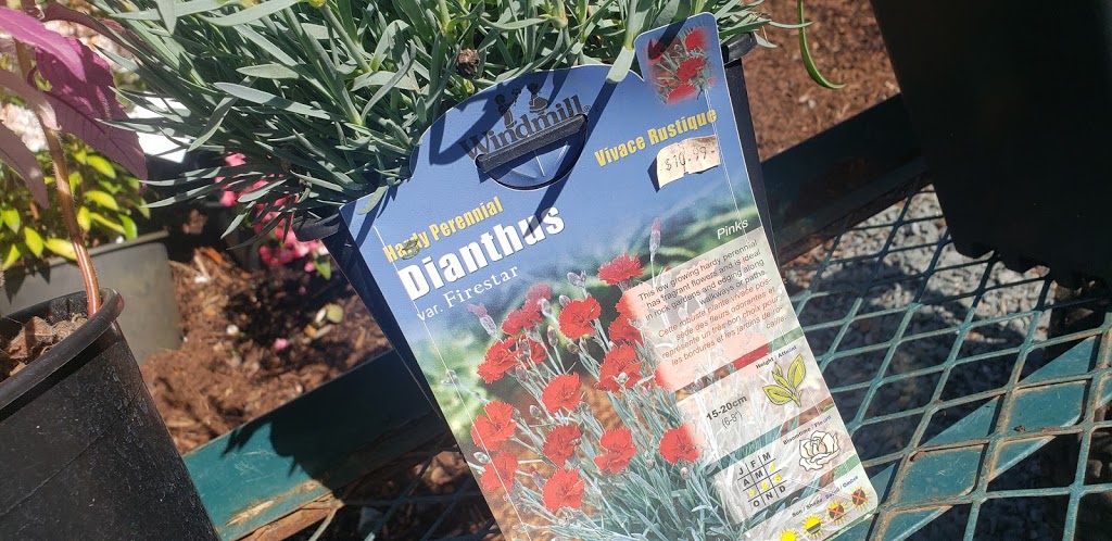 Hope Garden Centre | 21400 Trans-Canada Hwy, Hope, BC V0X 1L3, Canada | Phone: (604) 750-8152