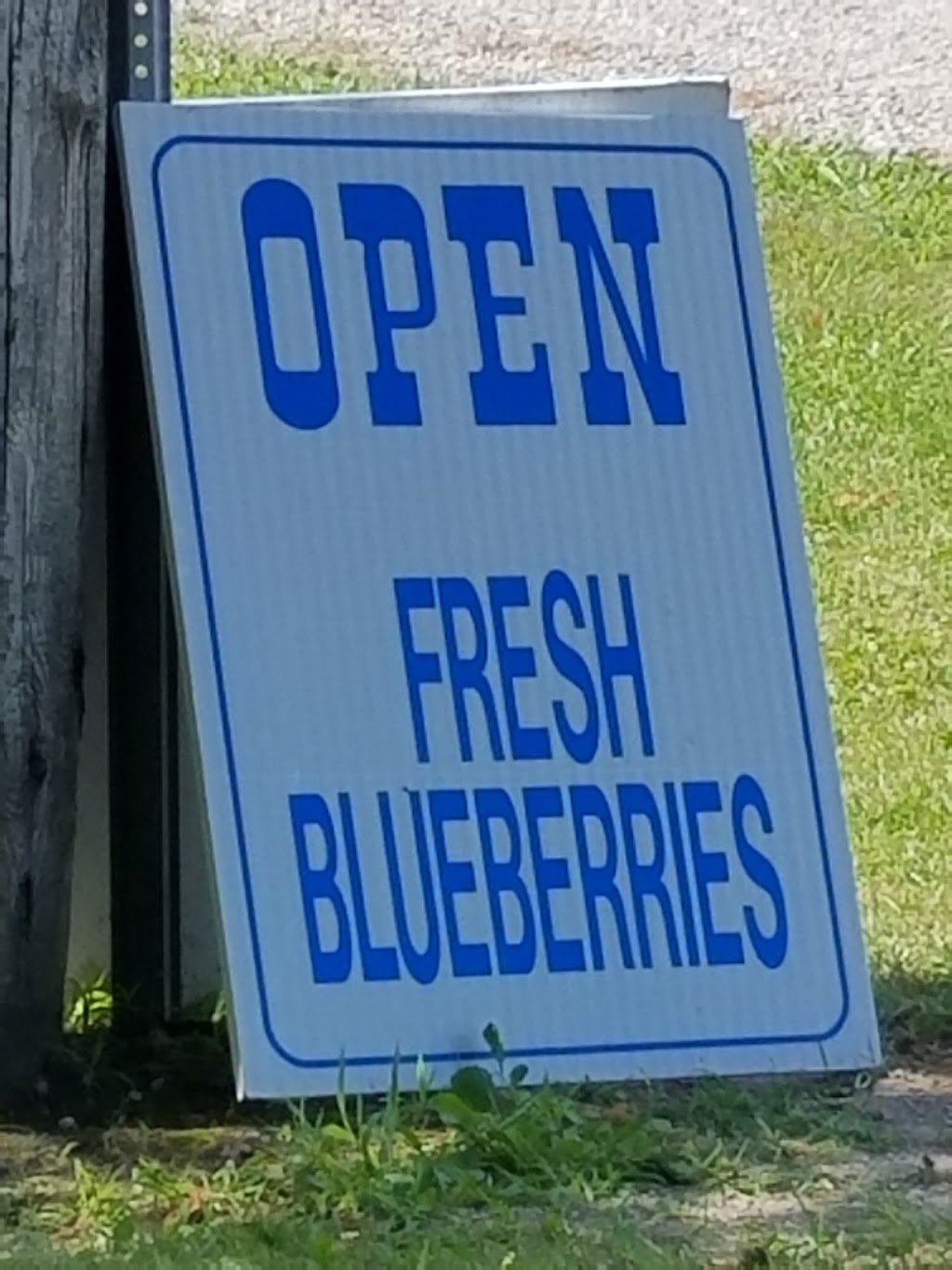 The Blueberry Patch | 289 Brant County Hwy 53, Burford, ON N0E 1A0, Canada | Phone: (519) 458-8066