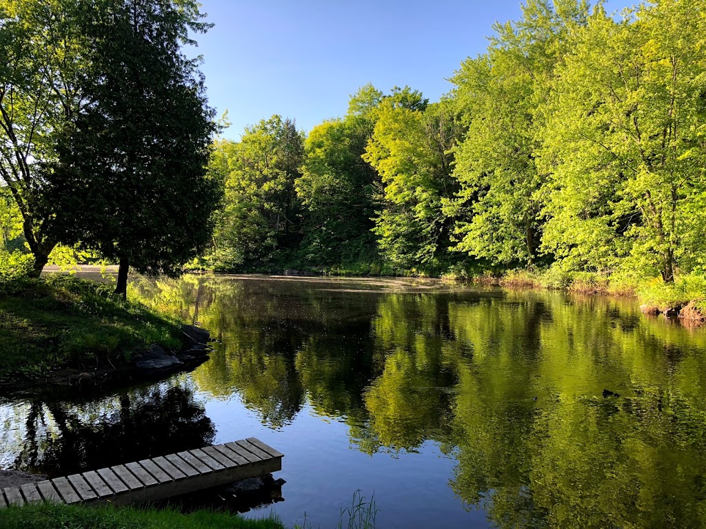 Black River Retreat | 107939a Hwy#7, Tweed, ON K0K 3J0, Canada | Phone: (613) 243-7711