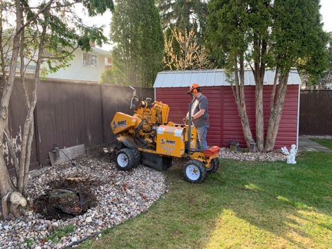Edmonton Tree Removal | 5151 Windermere Blvd Unit 213A, Edmonton, AB T6W 0H4, Canada | Phone: (825) 602-5416