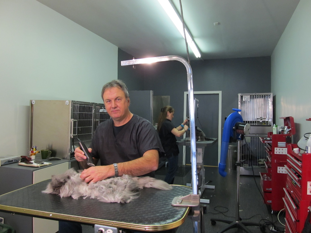 Pour Chien Et Chat Seulement | 8602 Rue Centrale, LaSalle, QC H8P 1N5, Canada | Phone: (514) 364-9614
