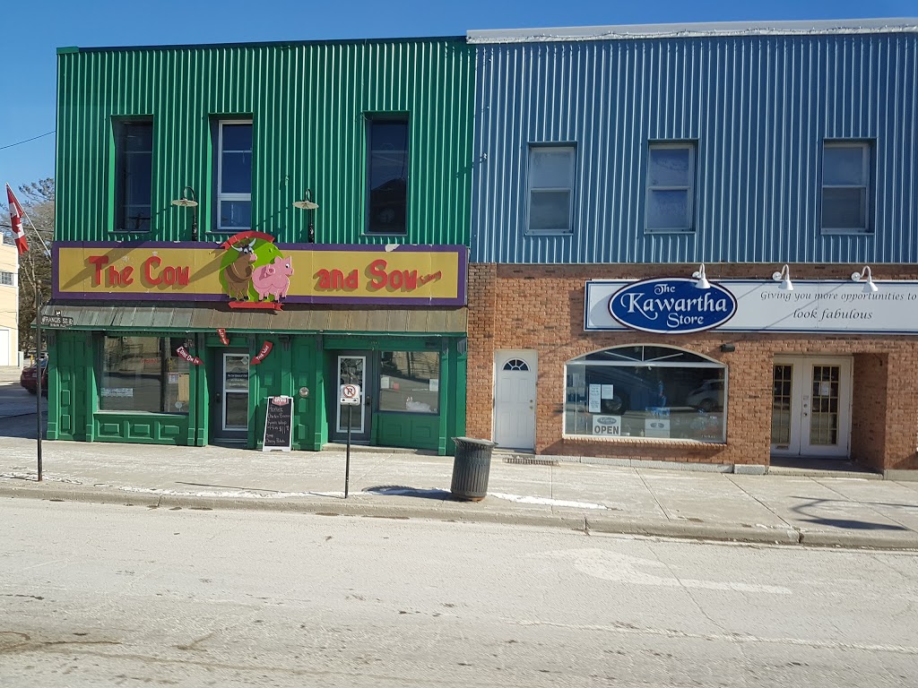 Aesac Inc | 46 Colborne St, Fenelon Falls, ON K0M 1N0, Canada | Phone: (705) 887-9767