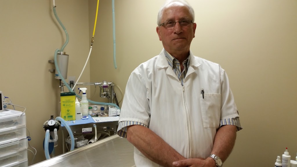 Collins Bay Animal Hospital | 4037 Bath Rd, Kingston, ON K7M 4Y4, Canada | Phone: (613) 384-1010