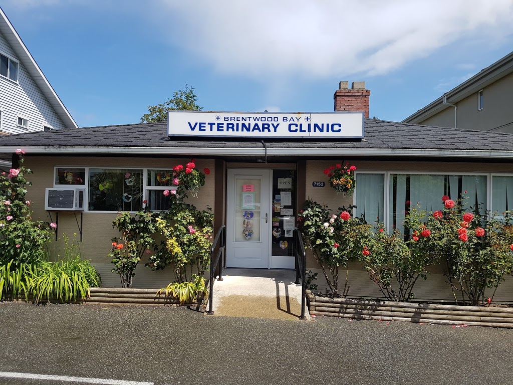 Brentwood Bay Veterinary Hospital | 7153 W Saanich Rd, Brentwood Bay, BC V8M 1P7, Canada | Phone: (250) 652-3131