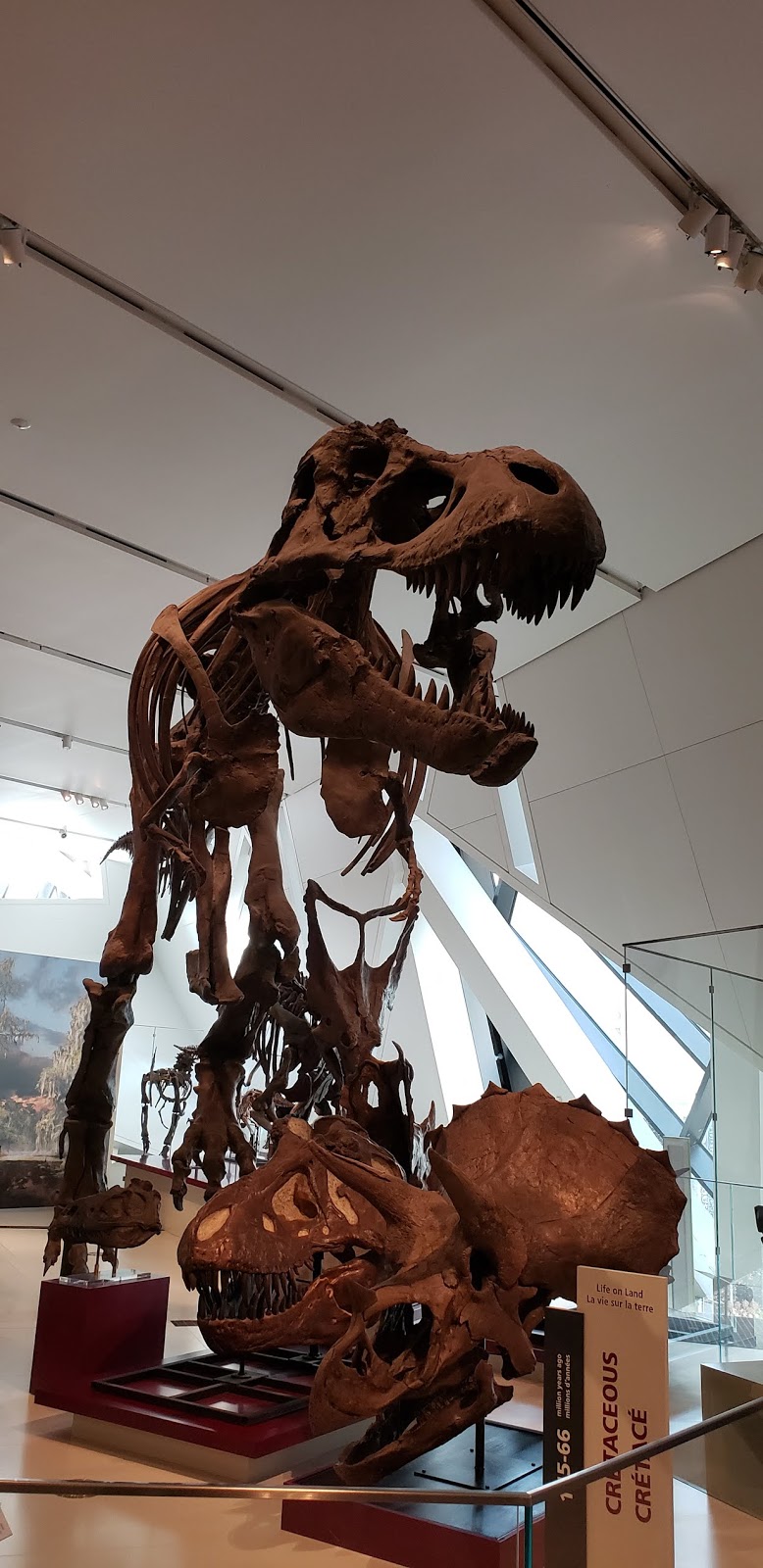 Royal Ontario Museum Libraries | 100 Queens Park, Toronto, ON M5S 2C6, Canada | Phone: (416) 586-5595