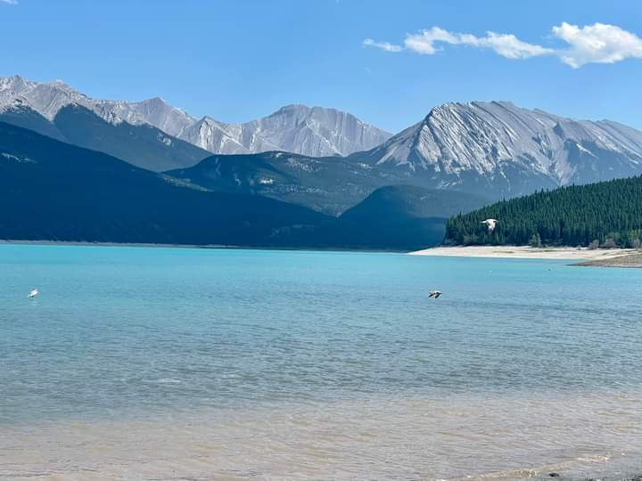 Cline River Heliport | Clearwater County, AB T0M 2H0, Canada | Phone: (403) 721-2100
