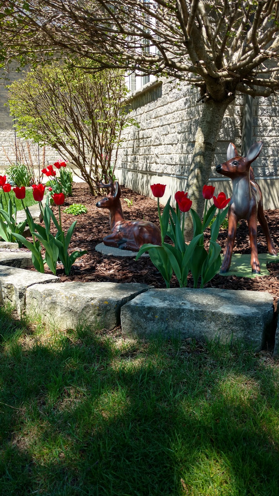 St. Vincent De Paul Roman Catholic Church | 29 Park Ln, Mitchell, ON N0K 1N0, Canada | Phone: (519) 345-2972
