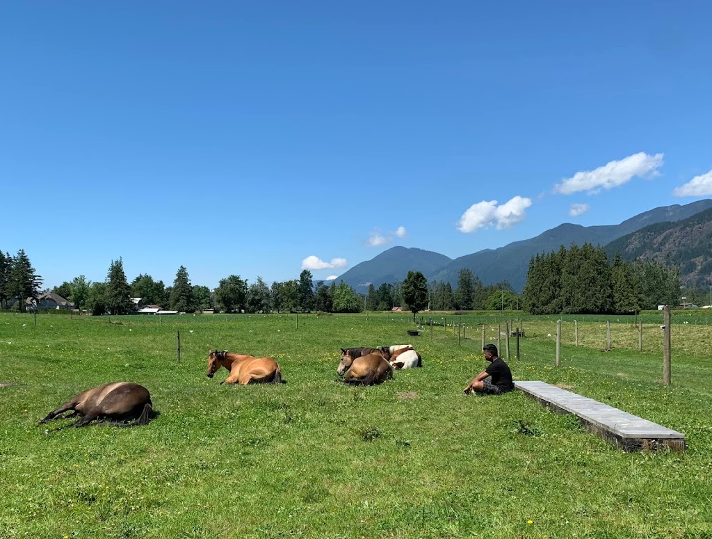 Four Horse Healing | 10885 McDonald Rd, Chilliwack, BC V2P 6H5, Canada | Phone: (604) 997-5032