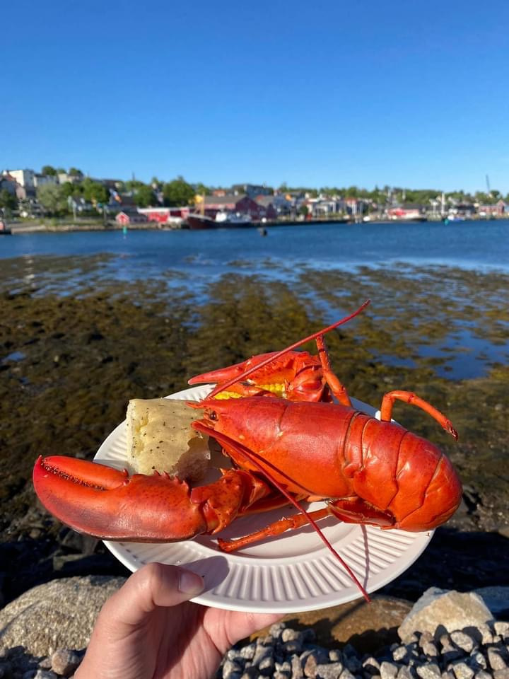 Dory Mates’ Seafood Shop | 11 Lincoln St, Lunenburg, NS B0J 2C0, Canada | Phone: (902) 521-7067