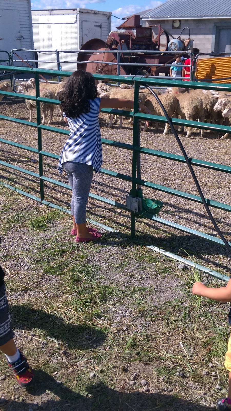 Centre communautaire MRG Joseph Charbonneau de Lefaivre 2005 Du Parc St, Lefaivre, ON K0B 1J0