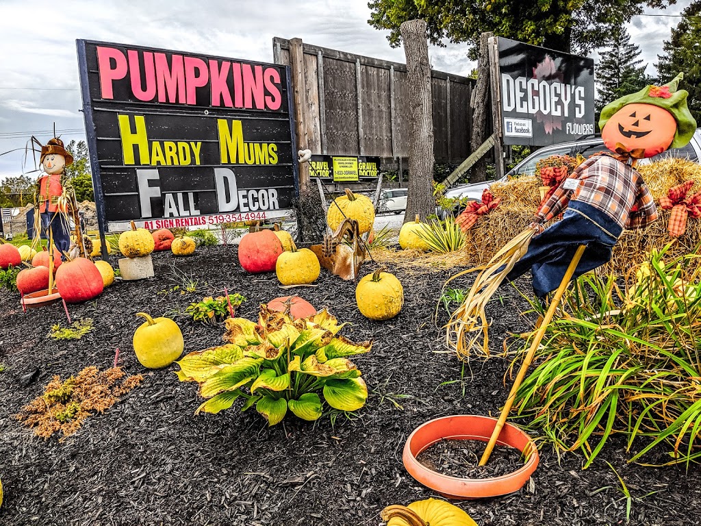 De Goey Nursery | 665 St Clair St, Chatham, ON N7L 4G8, Canada | Phone: (519) 358-1755
