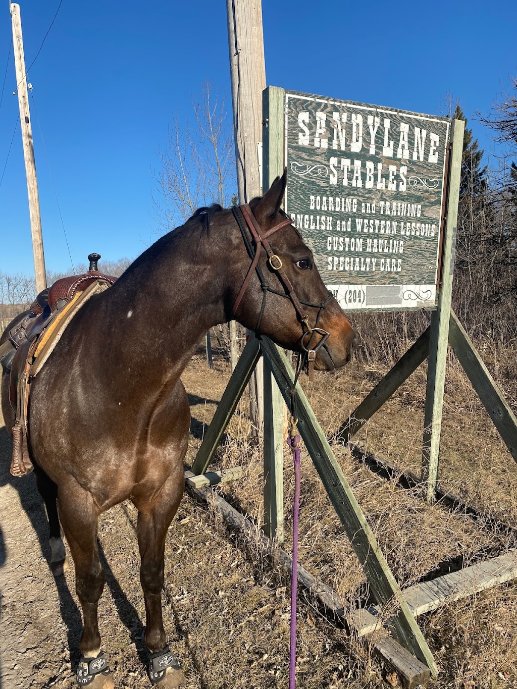 SandyLane Stable | Provincial Rd 207, Oakbank, MB R5N 0H3, Canada | Phone: (204) 793-4584