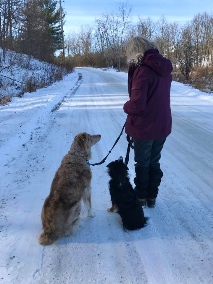 Endless Pawtential | 304 Norris Rd, Perth, ON K7H 3C6, Canada | Phone: (613) 267-8575
