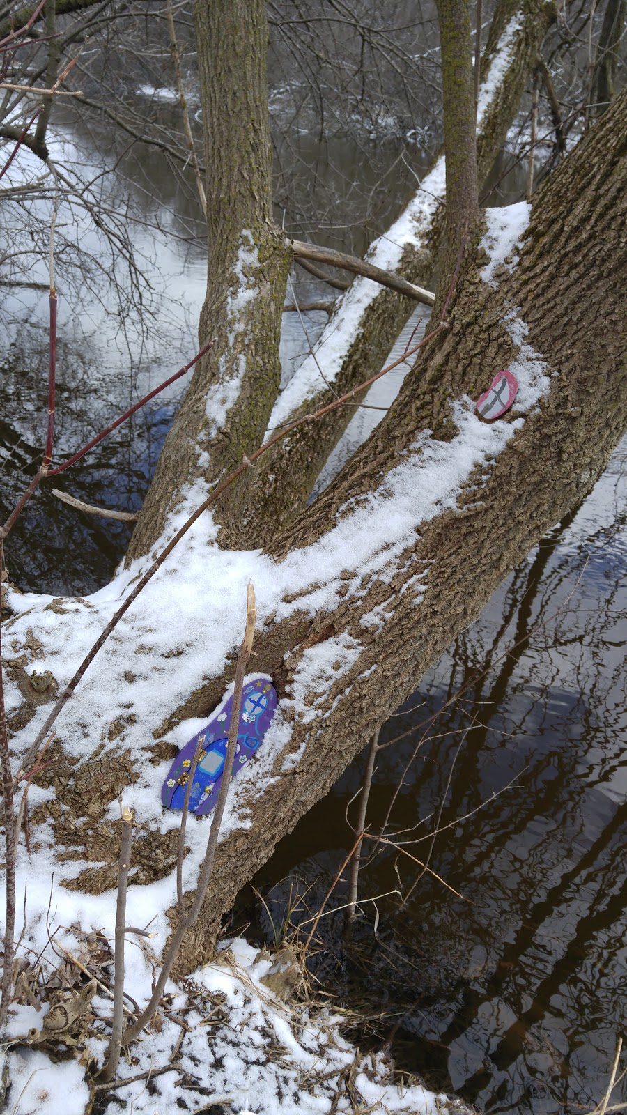 Fairy Village Trail | Royal Recreation Trail, Guelph, ON N1E, Canada