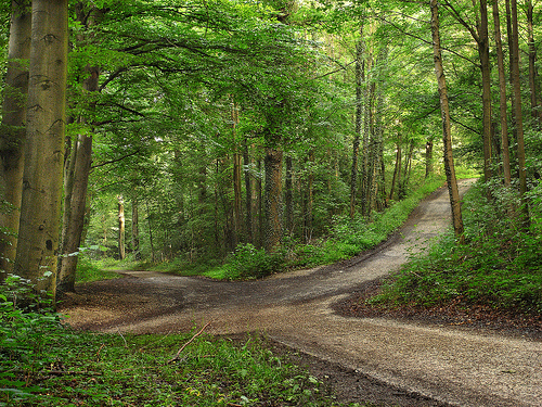 RESULTS: Career Counseling and Coaching Services | 2218 French Rd S, Sooke, BC V9Z 1J5, Canada | Phone: (778) 352-3326