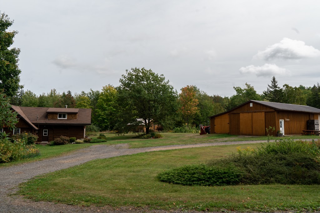 WILD | 2 Crocker Rd, Kingston, NS B0P 1R0, Canada | Phone: (902) 321-0150