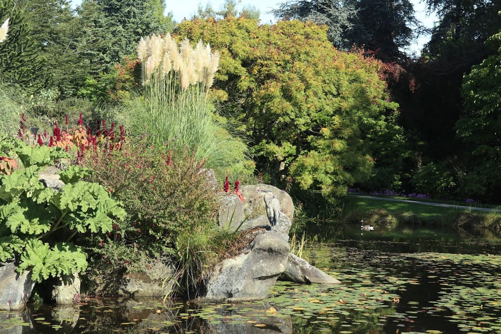 Livingstone Lake | 5251 Oak St, Vancouver, BC V6M 4H1, Canada