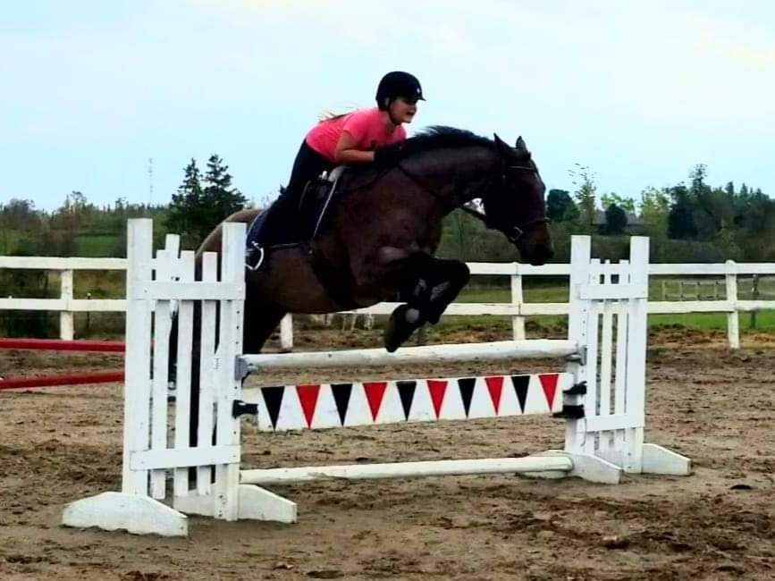 Seven Pines Stables | 1297 Eldon Rd, Kawartha Lakes, ON K0M 2M0, Canada | Phone: (705) 953-9602