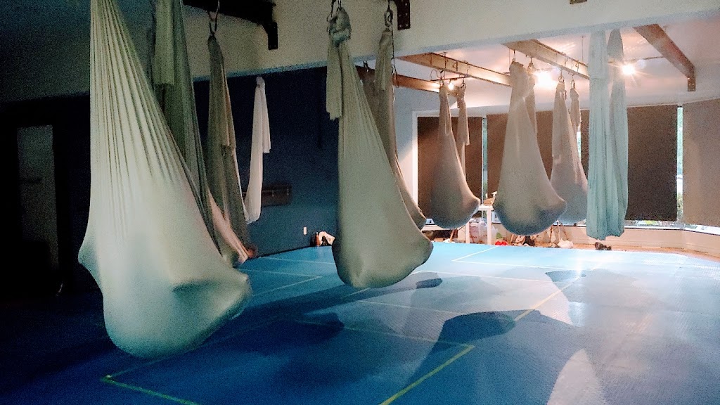 So Aerial Fit & Yoga | 8430 196 St, Langley City, BC V2Y 1Z4, Canada | Phone: (604) 440-5353
