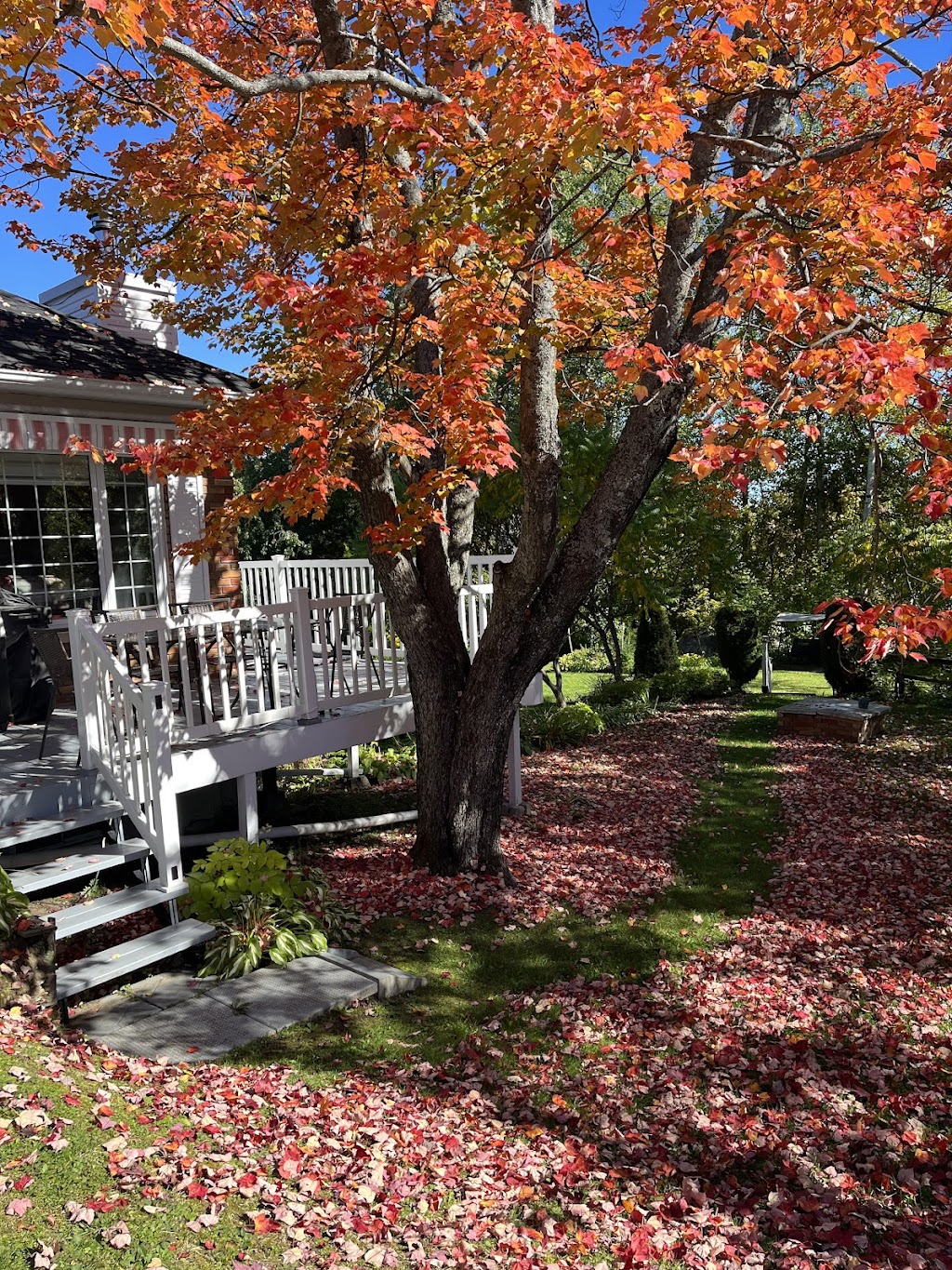 Studios Du Vacancier | 527 Rue Principale, Saint-Donat-de-Montcalm, QC J0T 2C0, Canada | Phone: (819) 424-3933