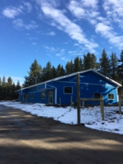 Creekside Pet Boarding & Daycare | 4115 170 St SW, Edmonton, AB T6Y 0C8, Canada | Phone: (587) 879-2879