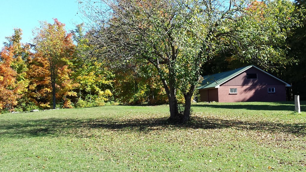 Ziontario Campgrounds | 344516 N Line, Priceville, ON N0C 1K0, Canada