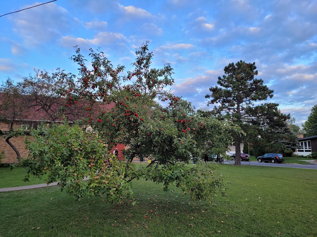 Projet Communautaire de Pierrefonds | 116 Rue Cartier, Roxboro, QC H8Y 1G8, Canada | Phone: (514) 684-5995