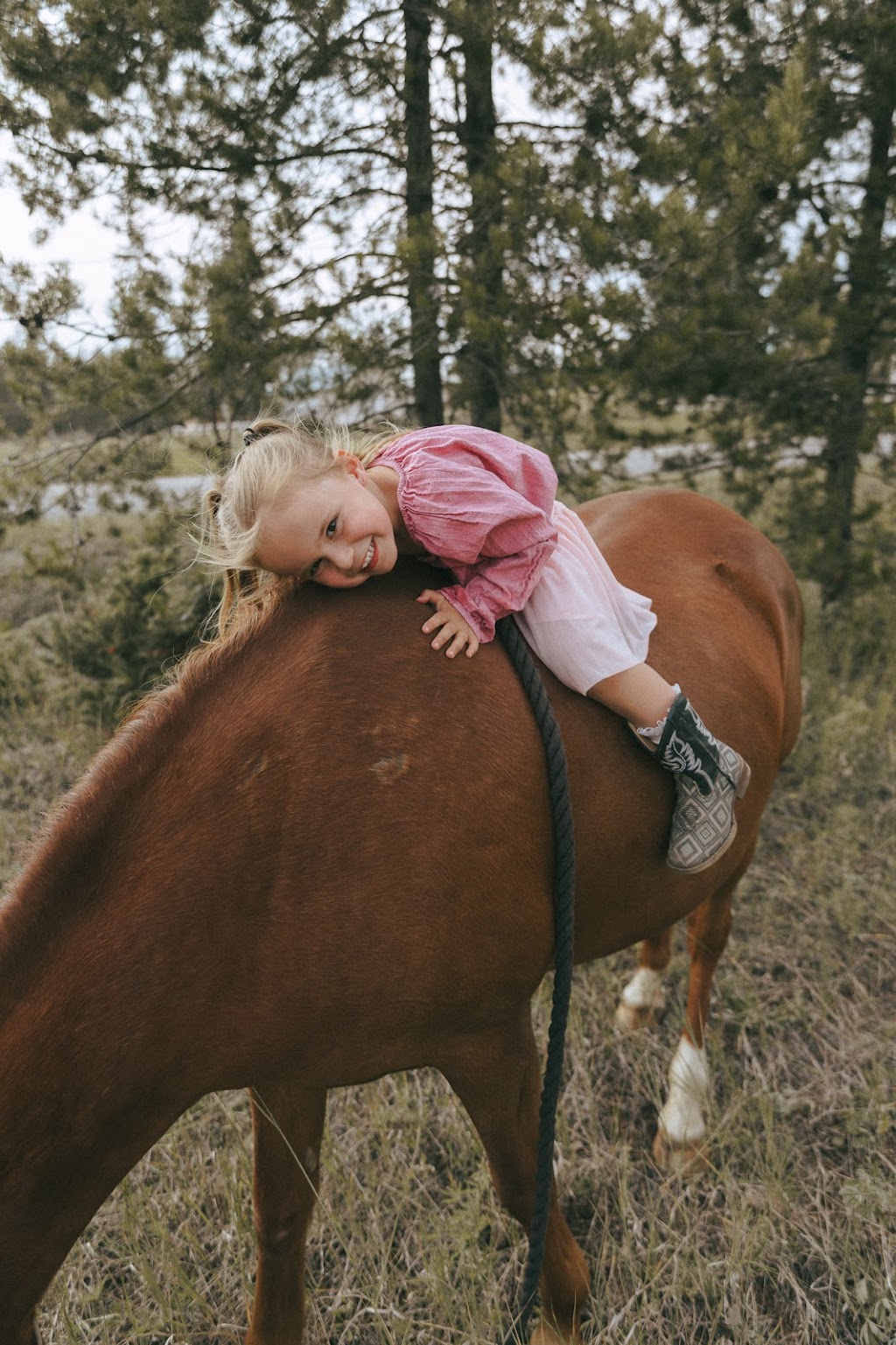 Sam Hornquist Photography | 41 Elkview Dr, Fernie, BC V0B 1M3, Canada | Phone: (250) 423-0703
