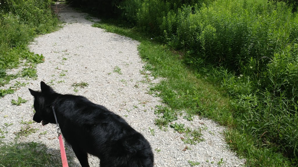 Redwood Pet Resort | 7594 Auburn Rd, Milton, ON L9E 0T7, Canada | Phone: (905) 878-9410
