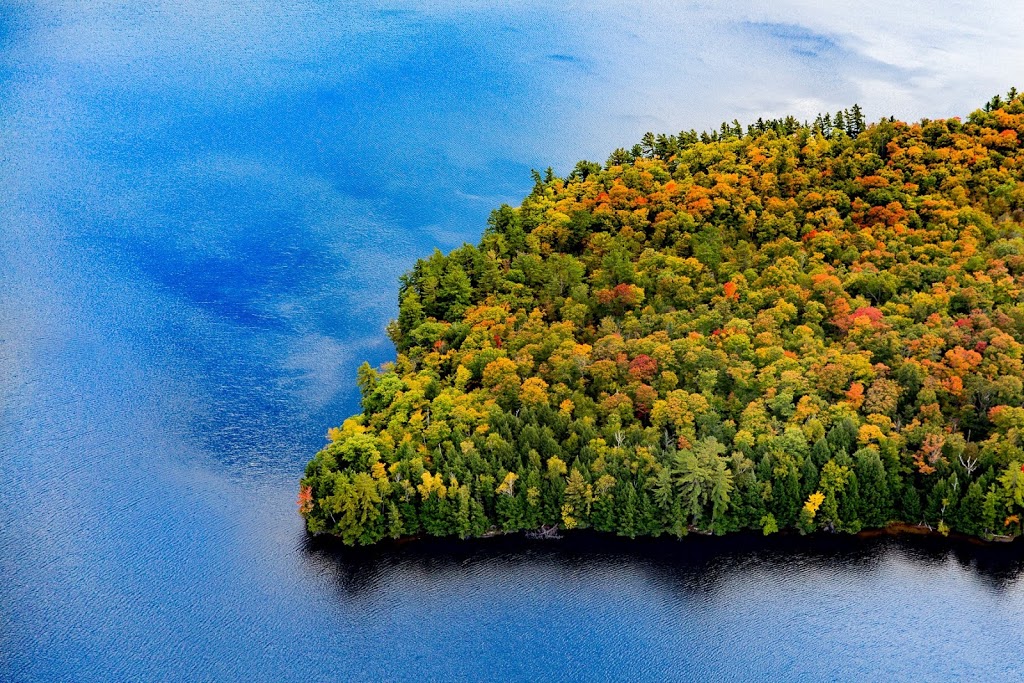 Kim Dickinson Real Estate Appraisal | 100 Westmall Rd, Bracebridge, ON P1L 1Z1, Canada | Phone: (705) 641-1700