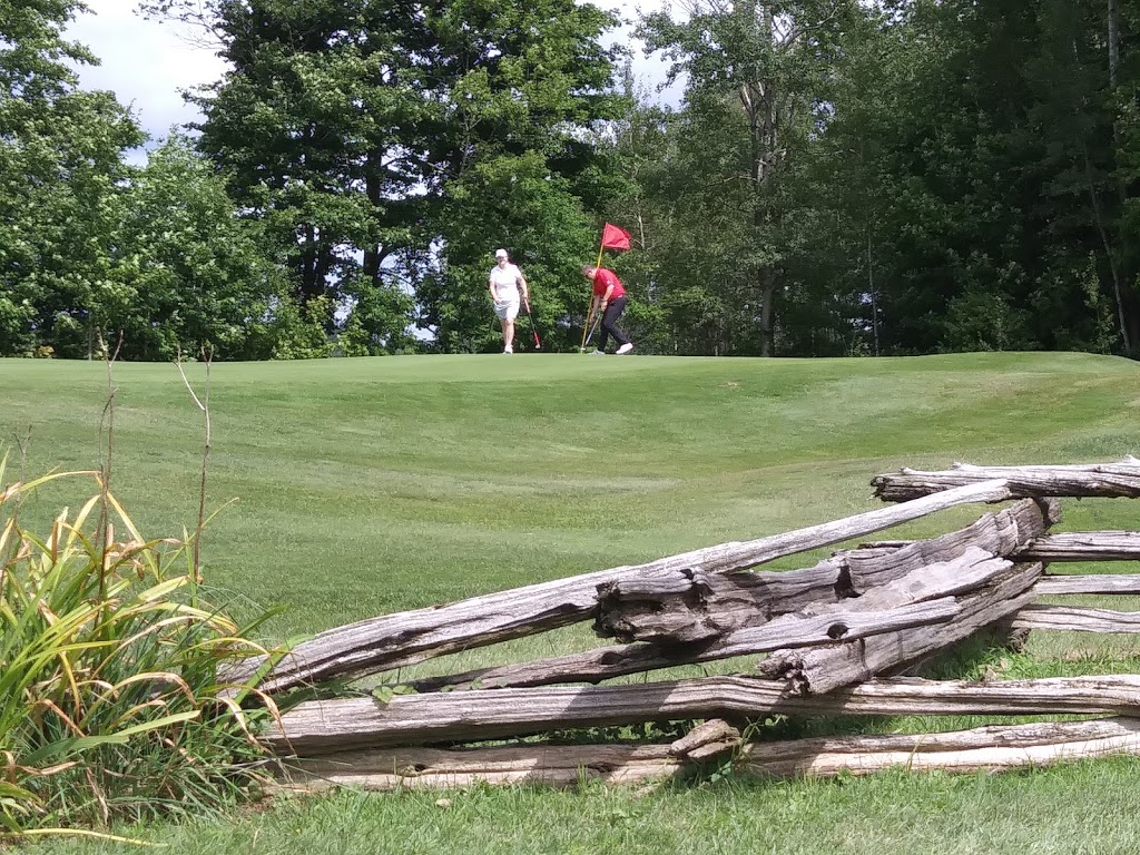 Highland Glen Golf Club | 305455 Southline A, Priceville, ON N0C 1K0, Canada | Phone: (519) 924-4653