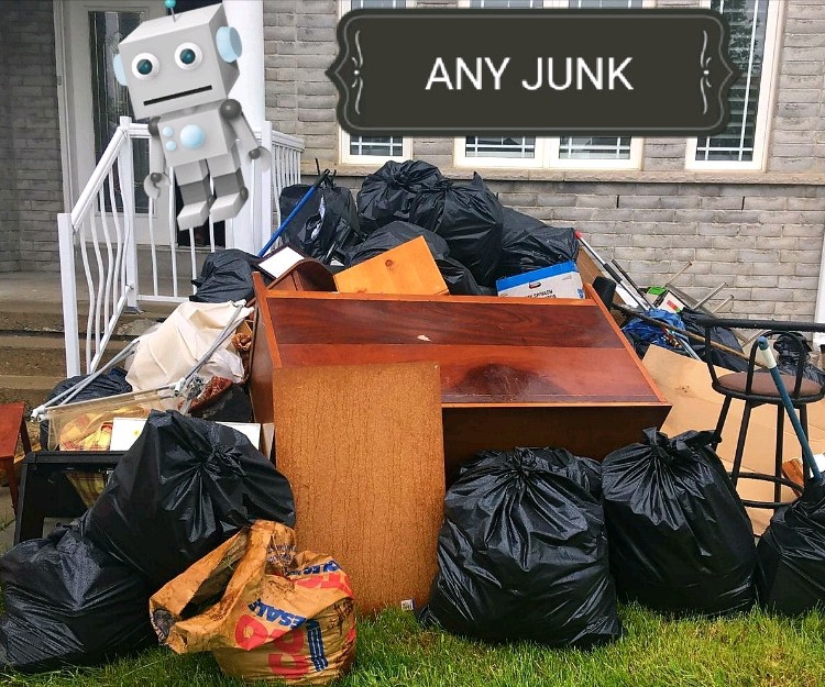 Any Junk | 60 Ninth St, Etobicoke, ON M8V 3E3, Canada | Phone: (416) 708-5824