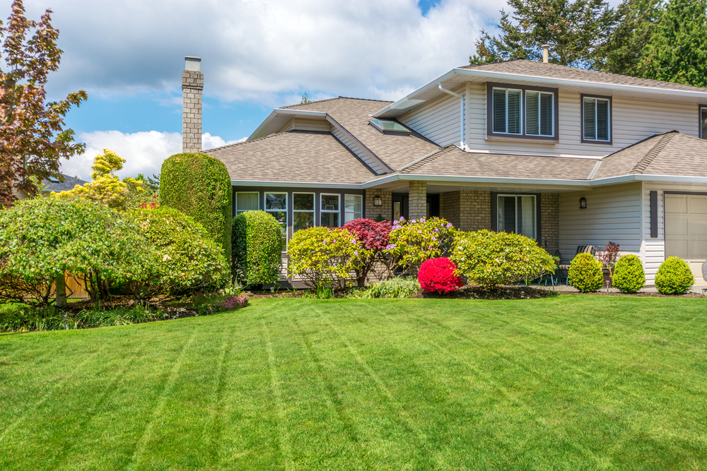 Experts Verts | 1400 Av. de la Gare, Mascouche, QC J7K 2Z2, Canada | Phone: (514) 447-8378