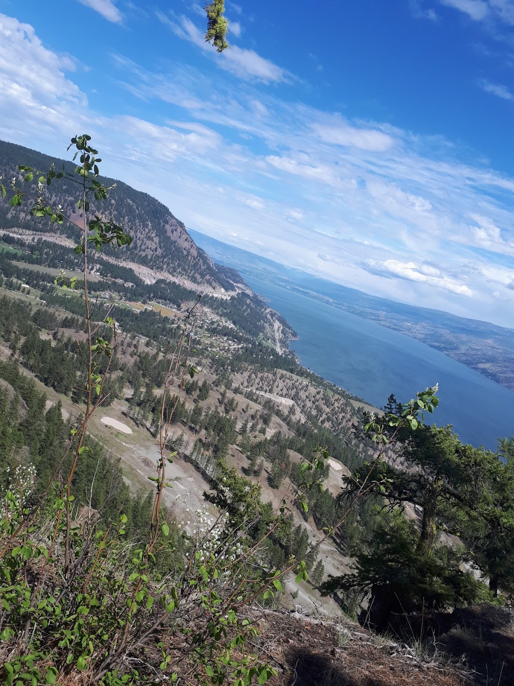 Pincushion Mountain Hiking Trail | 4639 Ponderosa Dr, Peachland, BC V0H 1X5, Canada | Phone: (250) 767-2647