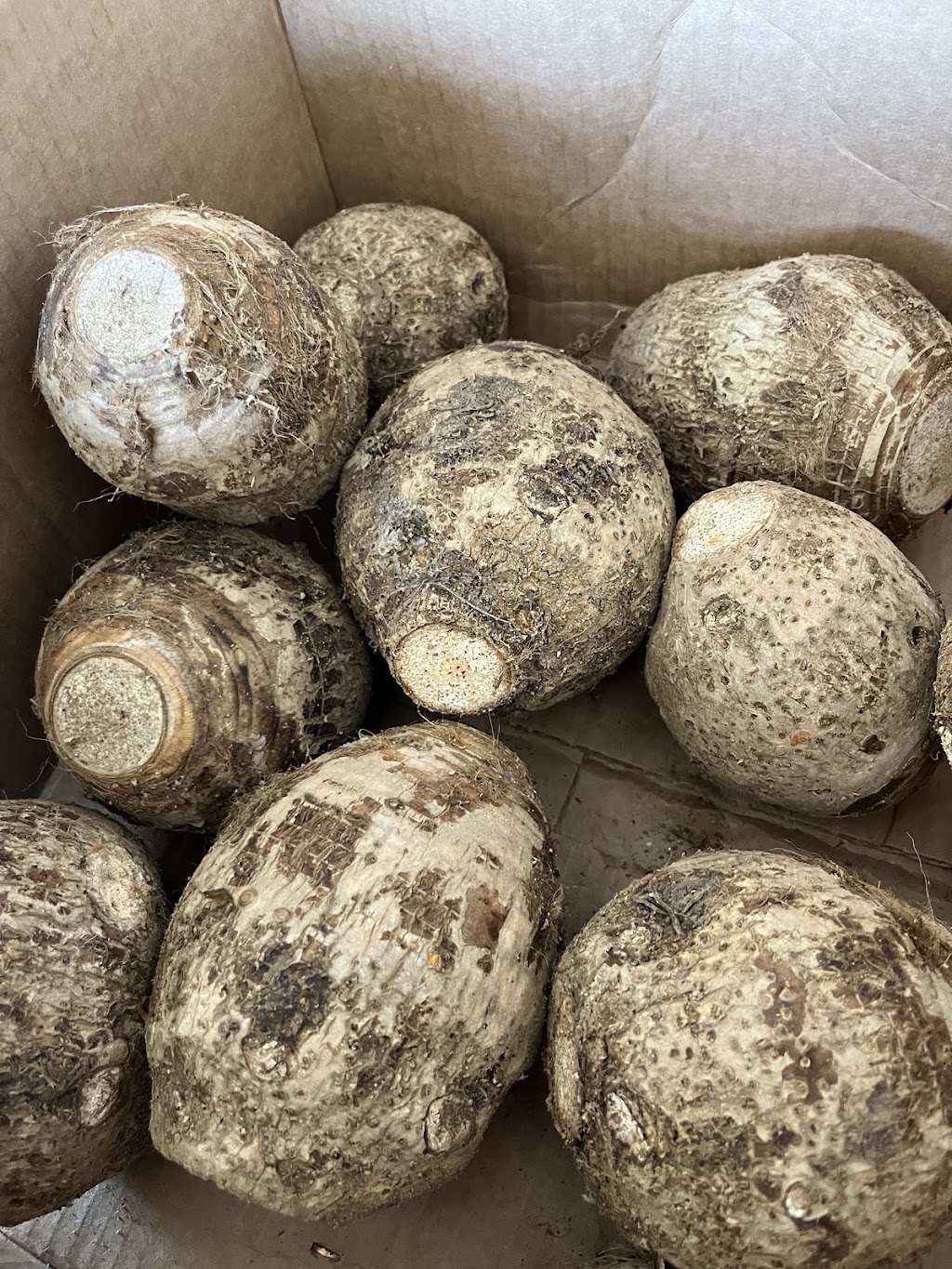 JanOne (Caribbean/Jamaican/Filipino/Latin groceries | 274 Burton Ave, Barrie, ON L4N 5W4, Canada | Phone: (705) 797-0222