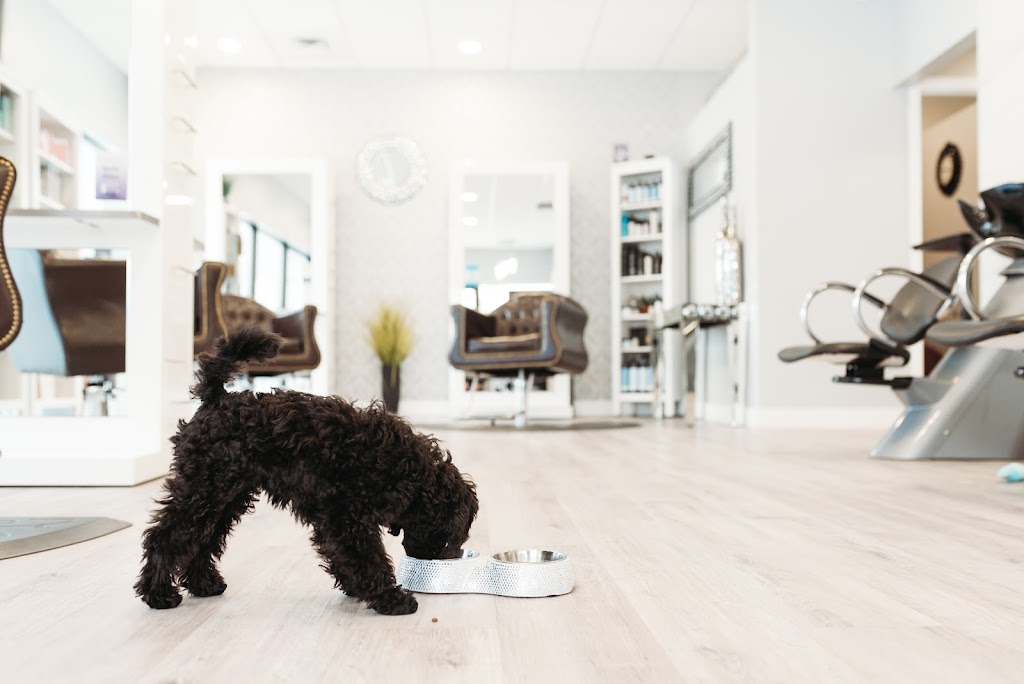 Legendary Hair Lounge | 370 Kaska Rd, Sherwood Park, AB T8A 4G8, Canada | Phone: (780) 449-9491