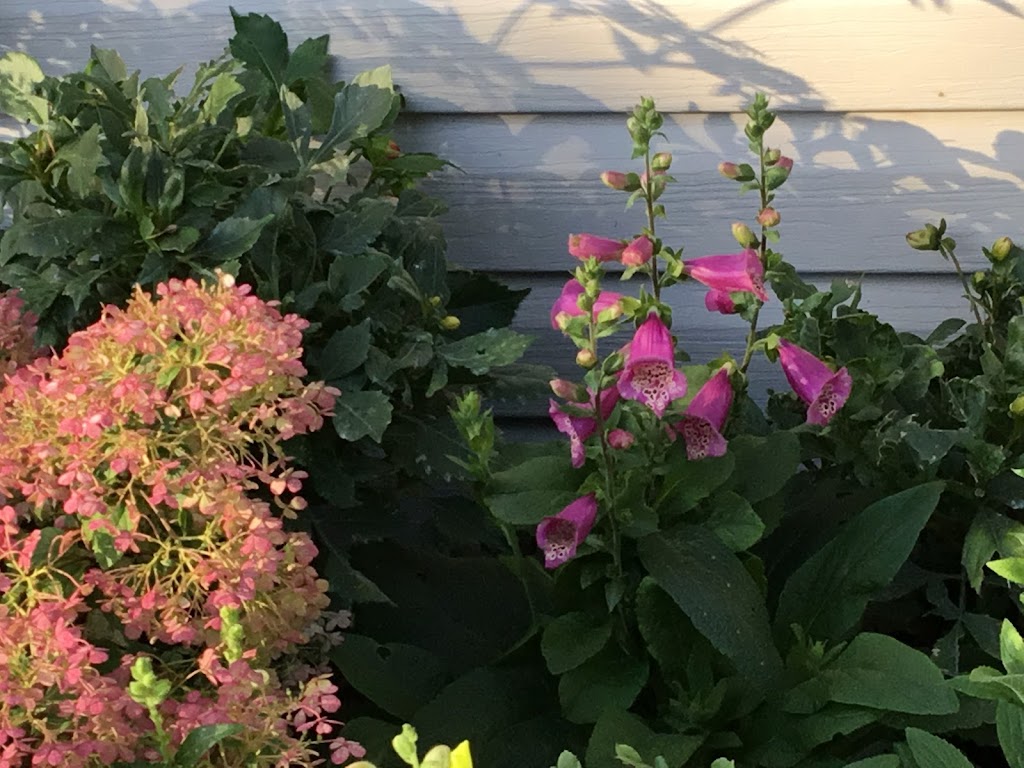 Frasers Market Flowers | 764 Russett Dr, Arnprior, ON K7S 3G8, Canada | Phone: (613) 322-4793