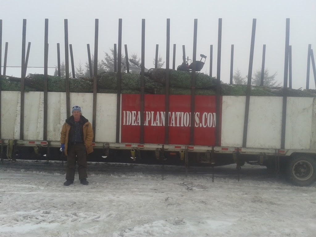 IDEAL PLANTATIONS / LES PLANTATIONS IDÉALES | 360 Rang des Chutes, Ham-Nord, QC G0P 1A0, Canada | Phone: (819) 344-2858