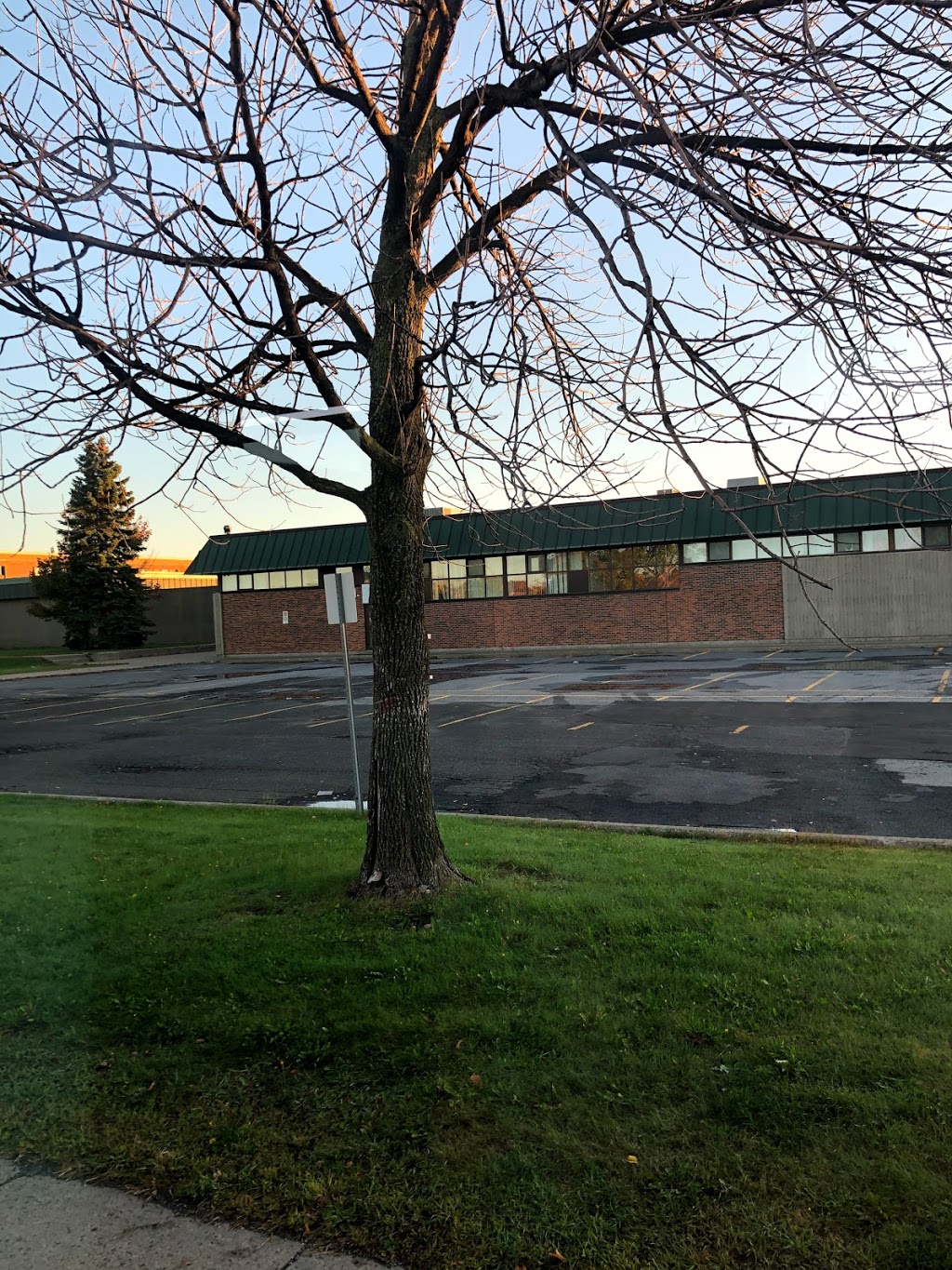 Alber Phaneuf | 7450 Boulevard Cousineau, Saint-Hubert, QC J3Y 3L4, Canada | Phone: (450) 463-7181