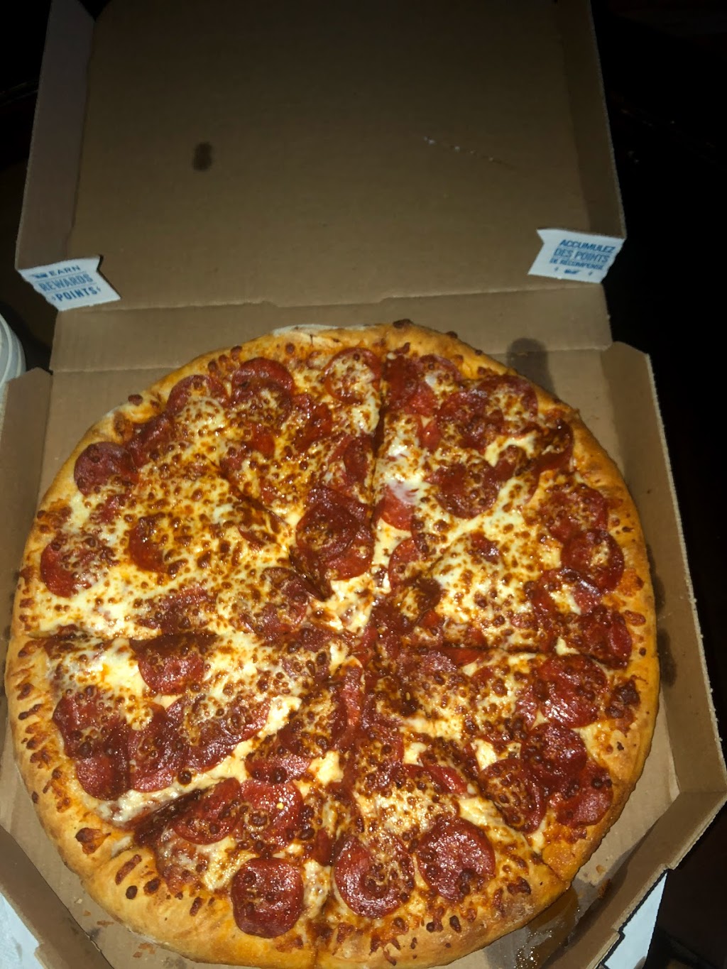 Dominos Pizza | 800 Franklin Blvd, Cambridge, ON N1R 7Z1, Canada | Phone: (519) 624-8050